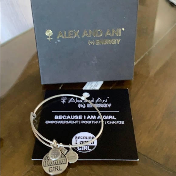 NWT Alex and Ani + Energy Expandable Bangle - Picture 6 of 6